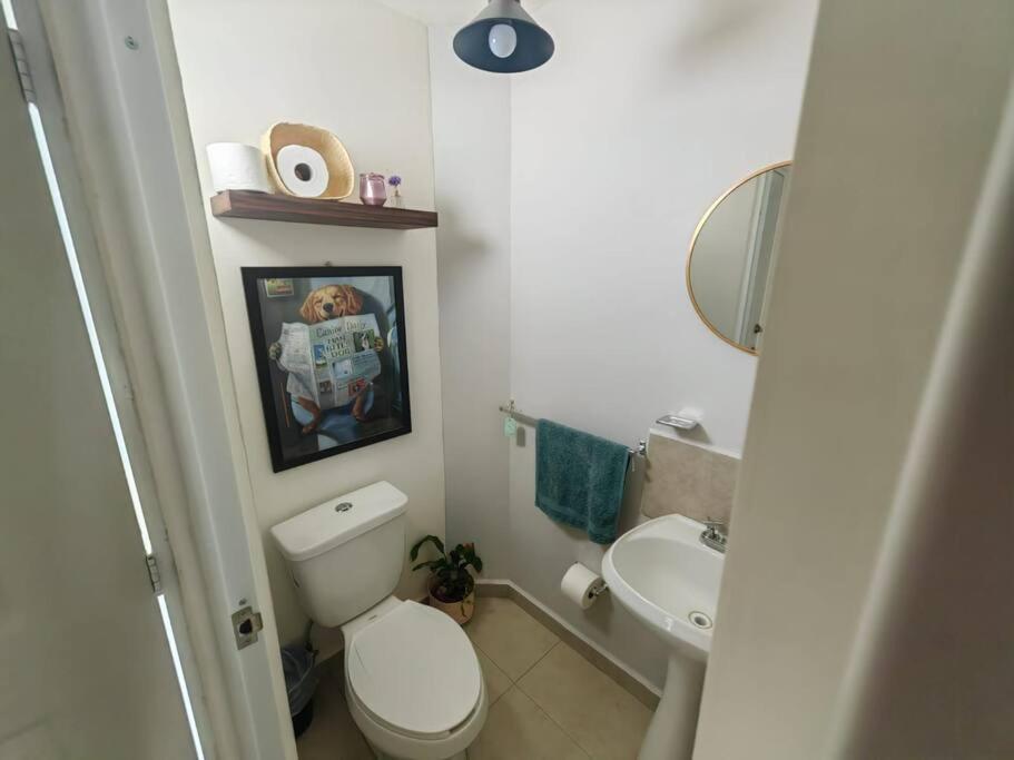Casa Meraki Querétaro Kültér fotó